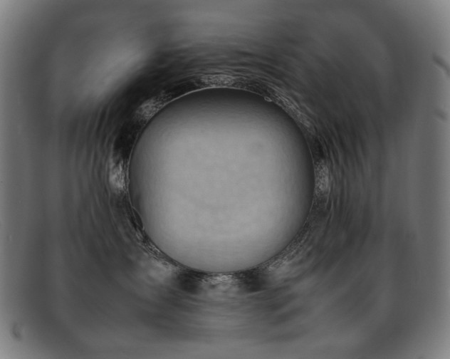 X0000092050431200709121216