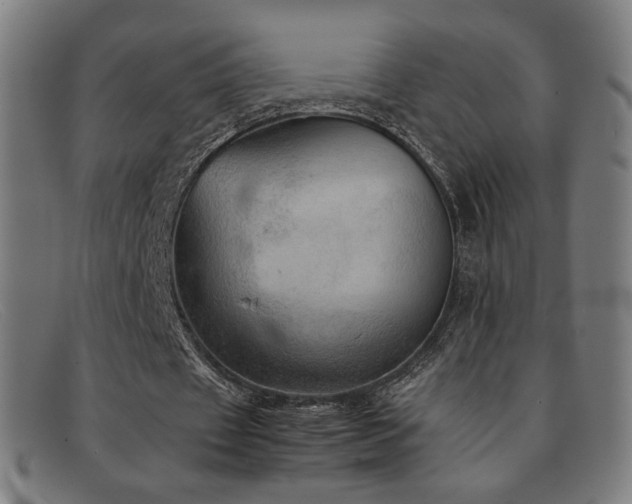 X0000092050433200709121215