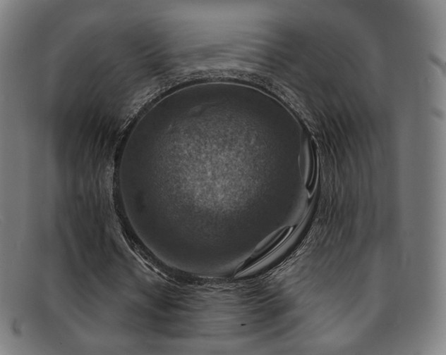 X0000092050434200709121215