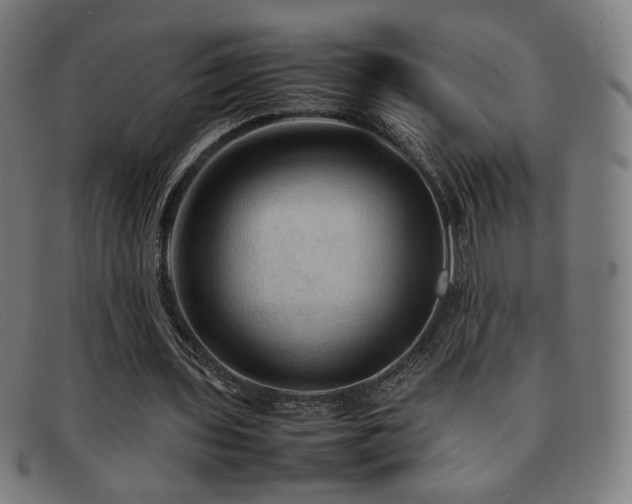 X0000092050435200709121215