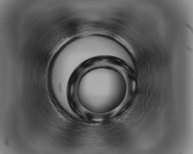 X0000092050436200709121215