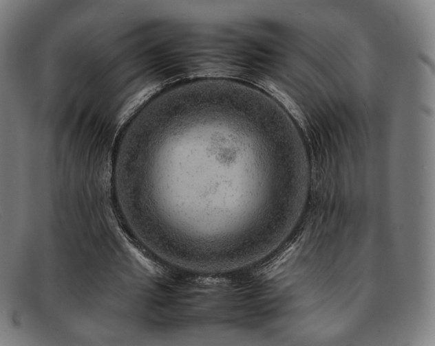 X0000092050437200709121215