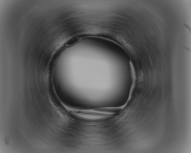 X0000092050440200709121216