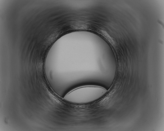 X0000092050441200709121216