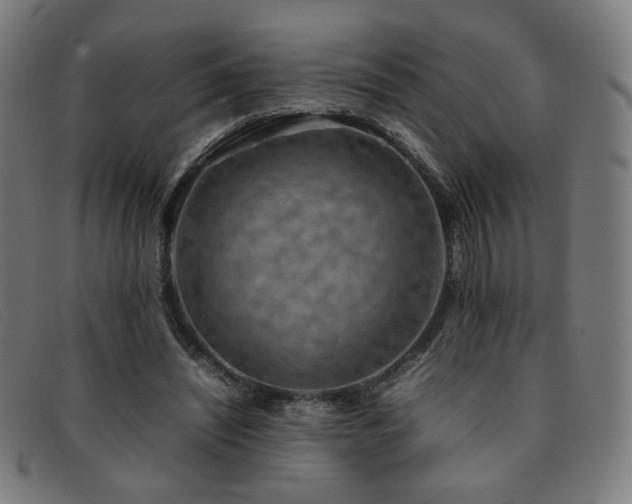 X0000092050444200709121216