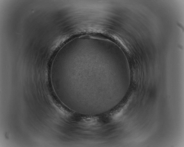 X0000092050447200709121216