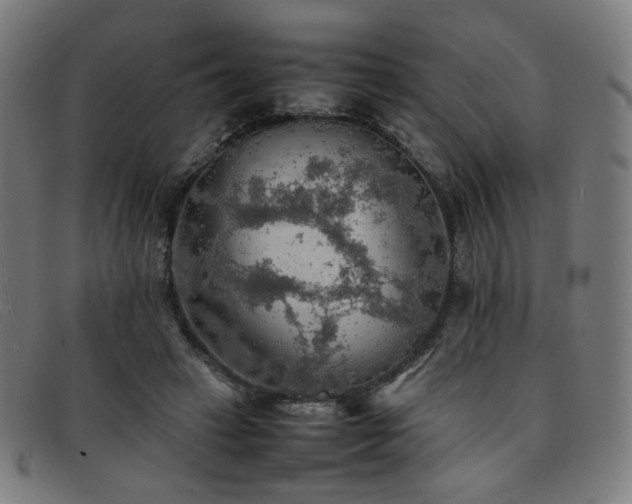 X0000092050449200709121216