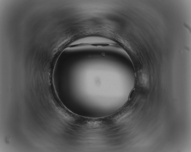 X0000092050450200709121216