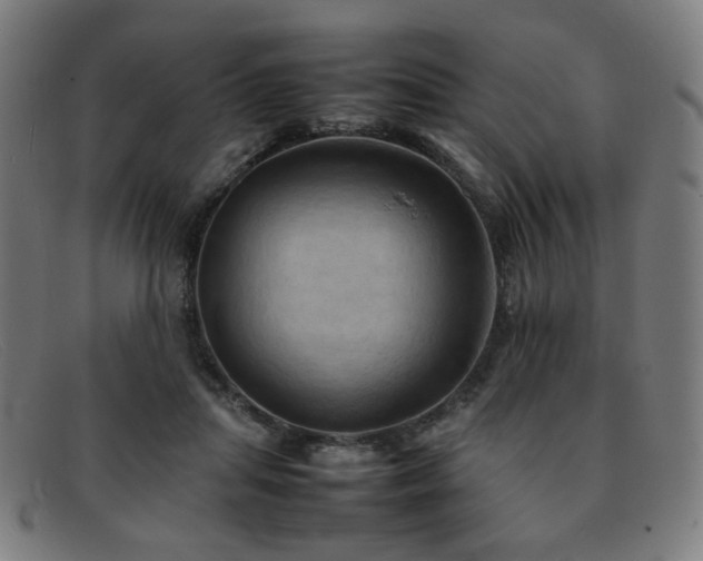 X0000092050455200709121216