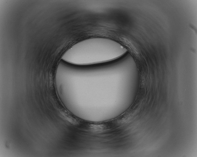 X0000092050457200709121216