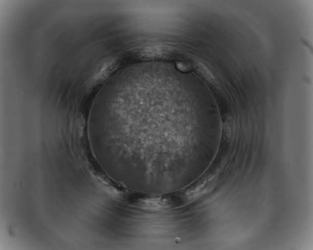 X0000092050458200709121216