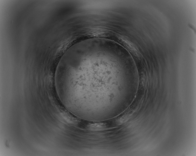 X0000092050461200709121216