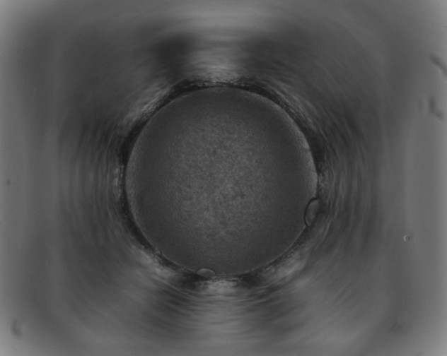 X0000092050462200709121216