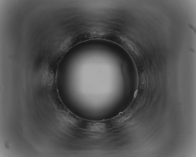 X0000092050463200709121216