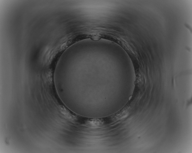 X0000092050466200709121216