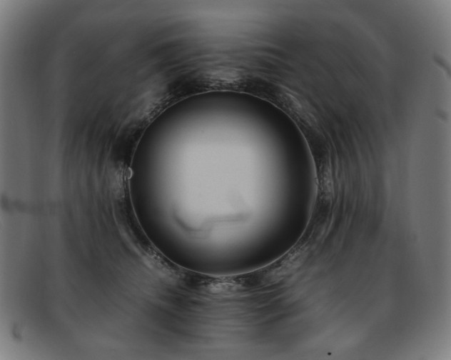 X0000092050468200709121216