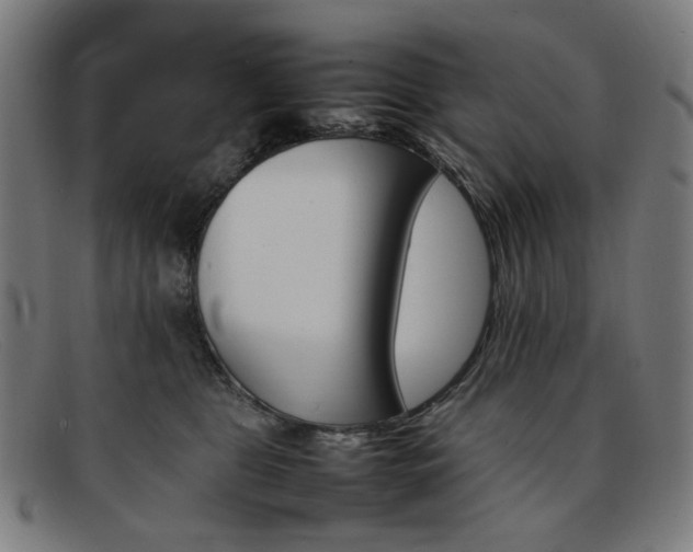 X0000092050469200709121216