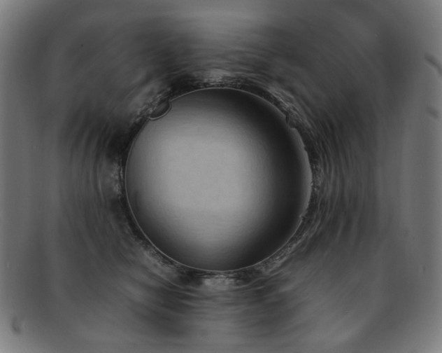 X0000092050470200709121216