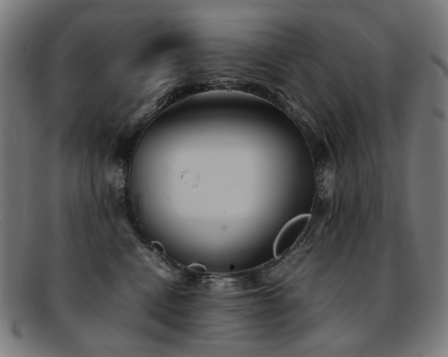 X0000092050472200709121216