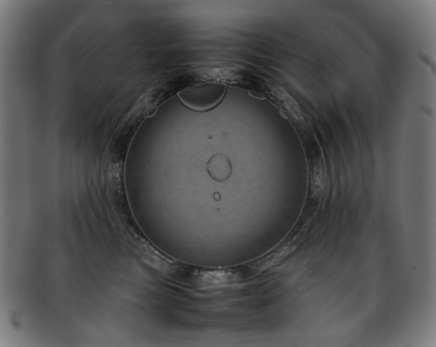 X0000092050473200709121216