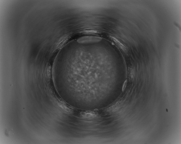 X0000092050475200709121216