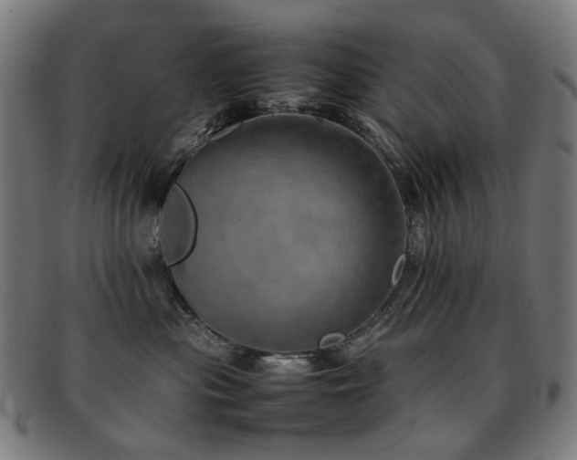 X0000092050477200709121216