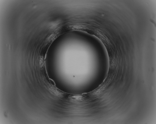 X0000092050478200709121216