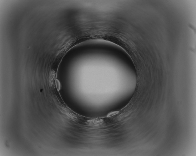 X0000092050480200709121216