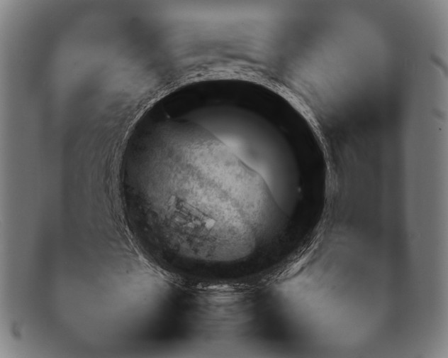 X0000092050481200709121215