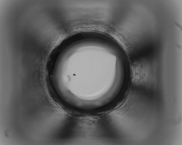 X0000092050482200709121215