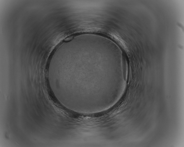 X0000092050483200709121215