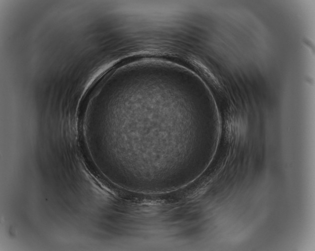 X0000092050484200709121215