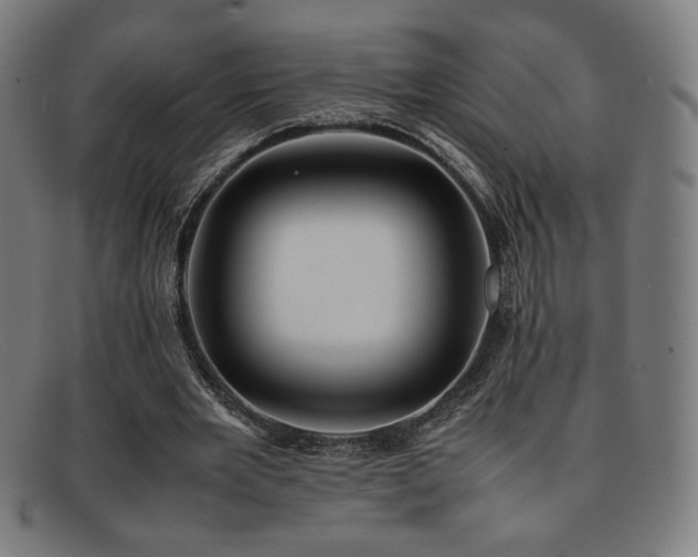 X0000092050485200709121215