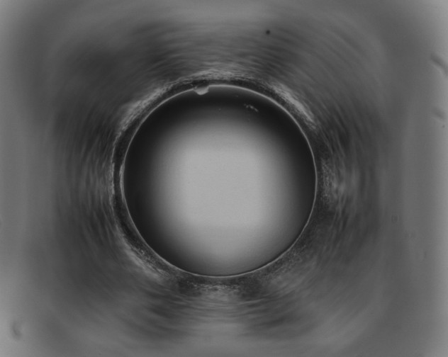 X0000092050486200709121215