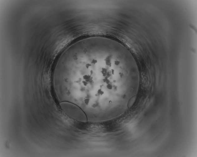 X0000092050487200709121215