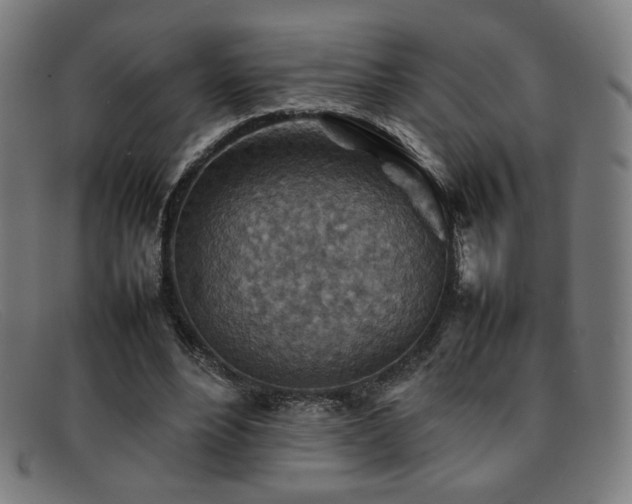 X0000092050488200709121215