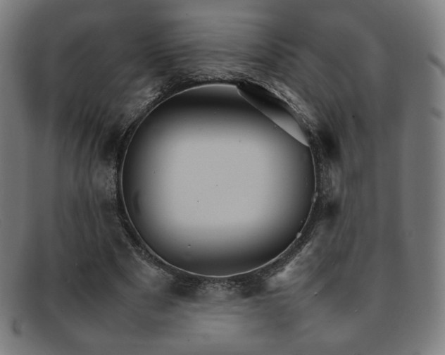 X0000092050489200709121215