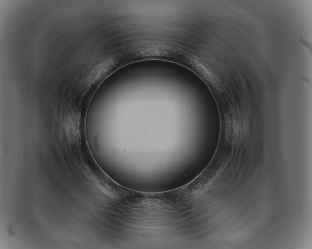 X0000092050490200709121215