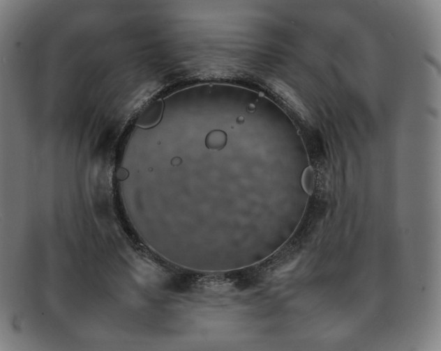 X0000092050491200709121215