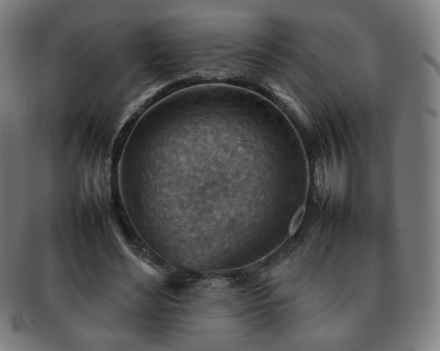 X0000092050492200709121215