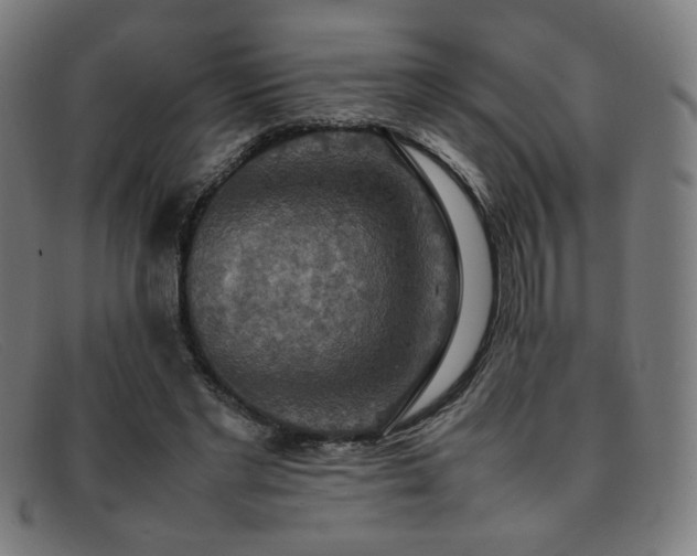 X0000092050493200709121215