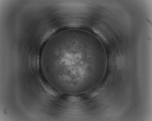 X0000092050494200709121215