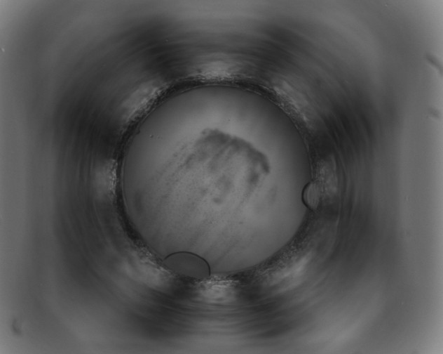 X0000092050495200709121215