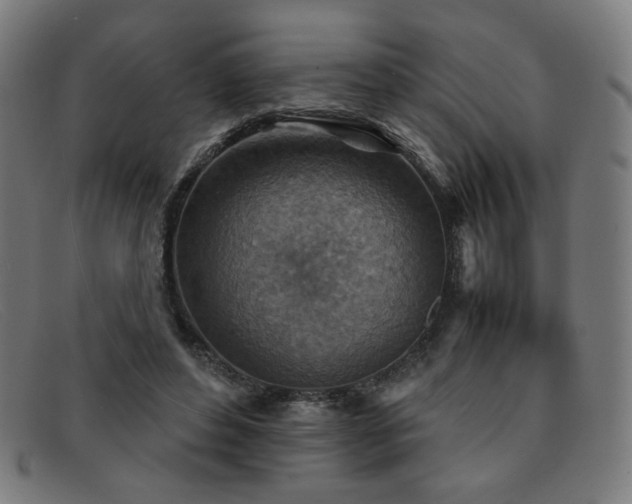 X0000092050496200709121215