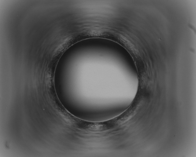 X0000092050497200709121215