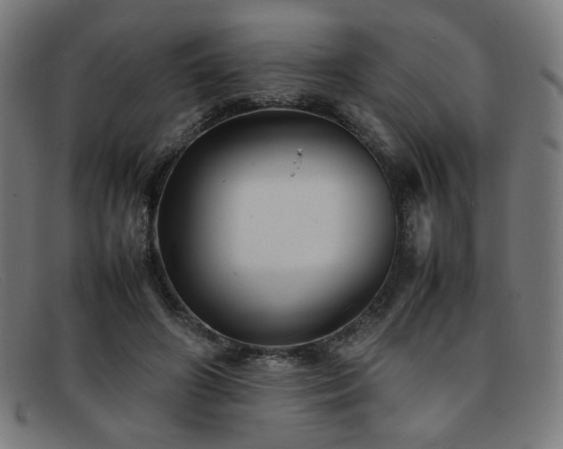 X0000092050498200709121215