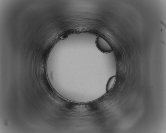 X0000092050499200709121215