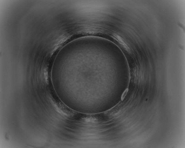 X0000092050500200709121215