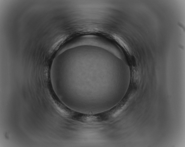 X0000092050501200709121215