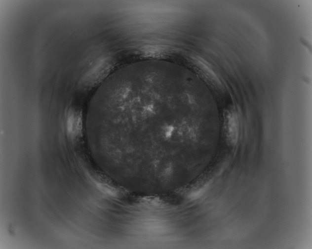 X0000092050502200709121215